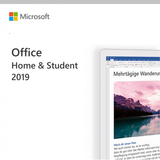 Microsoft Office Home & Student 2019 OEM