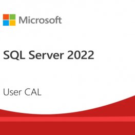 Microsoft SQL Server 2022 CAL
