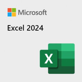 Microsoft Excel 2024