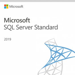 Microsoft SQL Server 2019 Standard