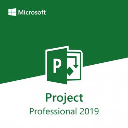 Microsoft Project Professional 2019