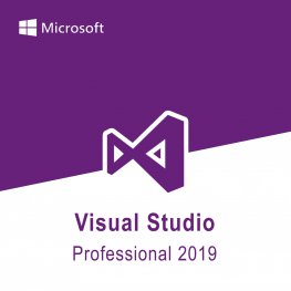 Microsoft Visual Studio Professional 2019